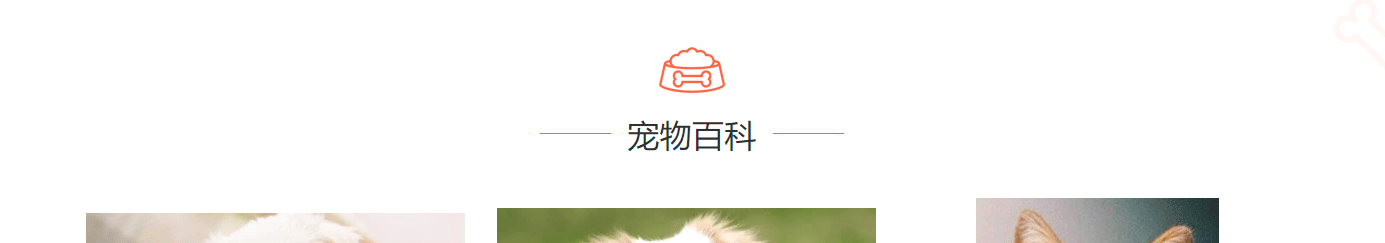 深圳網(wǎng)站設(shè)計(jì)公司_高端定制設(shè)計(jì)網(wǎng)站_營(yíng)銷(xiāo)型網(wǎng)站設(shè)計(jì)制作_深圳網(wǎng)站建設(shè)