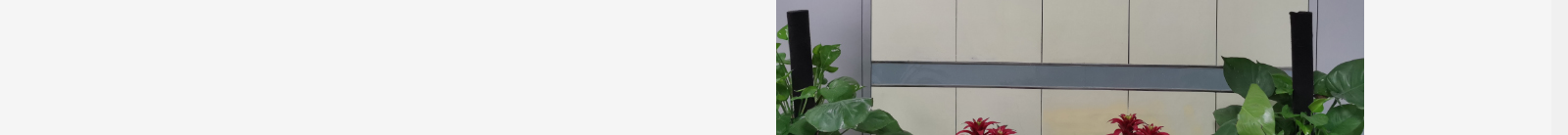 深圳網(wǎng)站設計公司_高端定制設計網(wǎng)站_營銷型網(wǎng)站設計制作_深圳網(wǎng)站建設 深圳網(wǎng)站設計公司_高端定制設計網(wǎng)站_營銷型網(wǎng)站設計制作_深圳網(wǎng)站建設