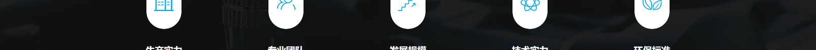 網(wǎng)站建設(shè)設(shè)計(jì)案例_營(yíng)銷(xiāo)型網(wǎng)站制作案例