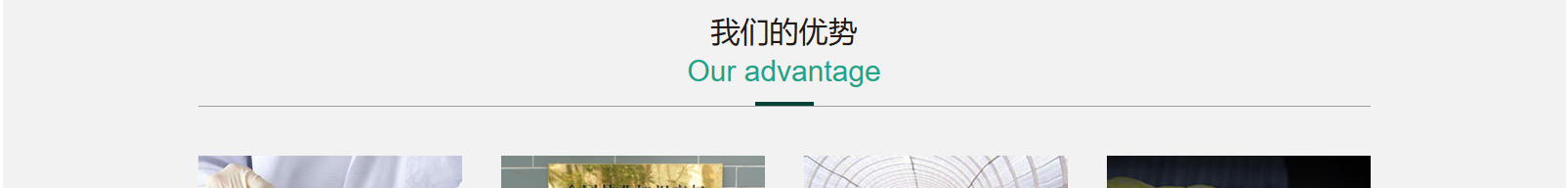 網(wǎng)站建設(shè)設(shè)計案例_營銷型網(wǎng)站制作案例 網(wǎng)站建設(shè)設(shè)計案例_營銷型網(wǎng)站制作案例