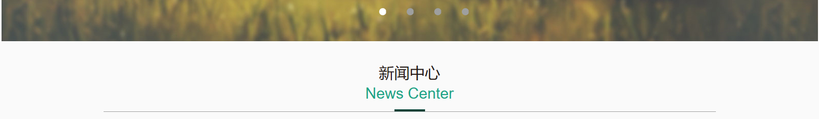 網(wǎng)站建設(shè)設(shè)計案例_營銷型網(wǎng)站制作案例 網(wǎng)站建設(shè)設(shè)計案例_營銷型網(wǎng)站制作案例