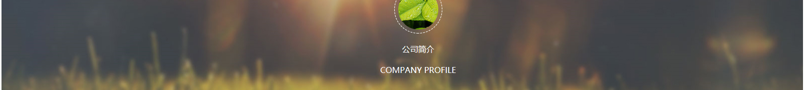 網(wǎng)站建設(shè)設(shè)計案例_營銷型網(wǎng)站制作案例 網(wǎng)站建設(shè)設(shè)計案例_營銷型網(wǎng)站制作案例
