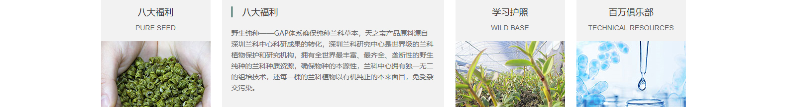 網(wǎng)站建設(shè)設(shè)計案例_營銷型網(wǎng)站制作案例 網(wǎng)站建設(shè)設(shè)計案例_營銷型網(wǎng)站制作案例