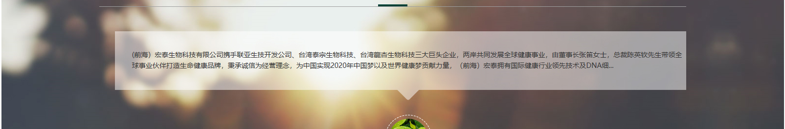 網(wǎng)站建設(shè)設(shè)計案例_營銷型網(wǎng)站制作案例 網(wǎng)站建設(shè)設(shè)計案例_營銷型網(wǎng)站制作案例