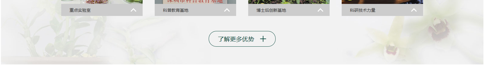 網(wǎng)站建設(shè)設(shè)計案例_營銷型網(wǎng)站制作案例 網(wǎng)站建設(shè)設(shè)計案例_營銷型網(wǎng)站制作案例