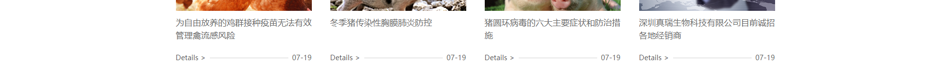 深圳網(wǎng)站設計公司_響應式網(wǎng)站_外貿(mào)網(wǎng)站_深圳網(wǎng)站建設 深圳網(wǎng)站設計公司_響應式網(wǎng)站_外貿(mào)網(wǎng)站_深圳網(wǎng)站建設
